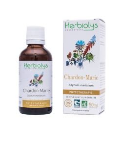 Chardon Marie (Silybum marianum) - Macérat de plantes fraîches